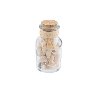 Beachcombers Coastal Life Bottle with Natural Sea Shells