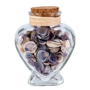 Beachcombers Coastal Life "Heart Bottle" with Sea Shells