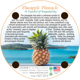 Reverse side of Grafixmat Pineapple Coaster with backstory