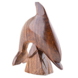 EarthView Mini Ironwood Jumping Dolphin