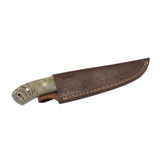 Faneema Damascus Steele & Ram's Horn Fixed Blade Knife- 5'' 