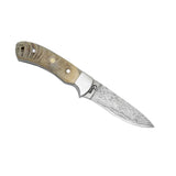 Faneema Damascus Steele & Ram's Horn Fixed Blade Knife- 5'' 