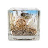 L Aquarium Ocean Candle Set - The Hawaii Store