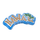 Magnet-Hand-Painted_-Hawaii-Palms