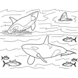 Advance Wildlife Education "Marine Mammals" Coloring Book Example Page