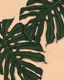 "Monstera Deliciosa" Art Print  by Mayan Llanera- 8"x10"