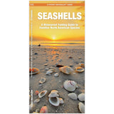 "Seashells" Folding Pocket Guide to Familiar Seashells