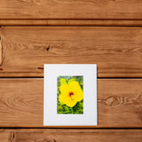 "Yellow Hibiscus" Matted Print by Antoinette Powell- 8" x 10" - The Hawaii Store