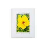 "Yellow Hibiscus" Matted Print by Antoinette Powell- 8" x 10" - The Hawaii Store