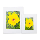 "Yellow Hibiscus" Matted Print by Antoinette Powell- 8" x 10" - The Hawaii Store