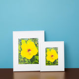 "Yellow Hibiscus" Matted Print by Antoinette Powell- 8" x 10" - The Hawaii Store