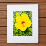 "Yellow Hibiscus" Matted Print by Antoinette Powell - 11" x 14"