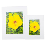 11 x 14-inch "Yellow Hibiscus" Matted Print by Antoinette Powell along side a smaller version