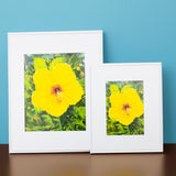 "Yellow Hibiscus" Print by Antoinette Powell in 2 Sizes