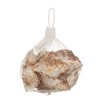 Sea Snails Bag - The Hawaii Store