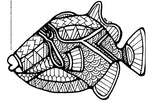 Hawaiian Ma Kai Marine Wildlife Educational Coloring Book example page