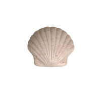 Soap Shell Sugar Soleil