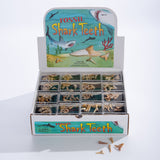 Fossil Sharks Teeth shown in display box with individual items.