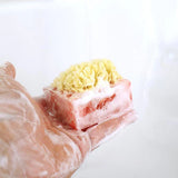 Island Oasis Glycerin Sponge Bar Soap - The Hawaii Store