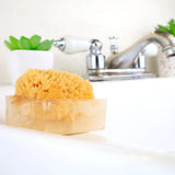 Sugar Rush Spongebar Glycerin Soap - The Hawaii Store