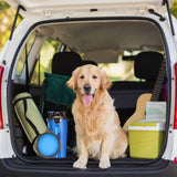 Doggie Duo Portable Food & Water Storage Travel System along side dog in vehicle with tail gate open