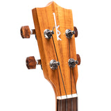 Kamaka Cedar Ukulele Standard Soprano Deluxe Ukulele Headstock