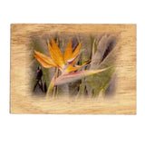 Koa Kards Hawaiian Koa Wood Bird of Paradise Magnet- 2.5 x 3.5 Inches